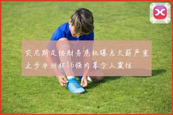 突尼斯足协财务危机曝光欠薪严重止步非洲杯16强内幕令人震惊